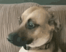 1693548564547.gif
