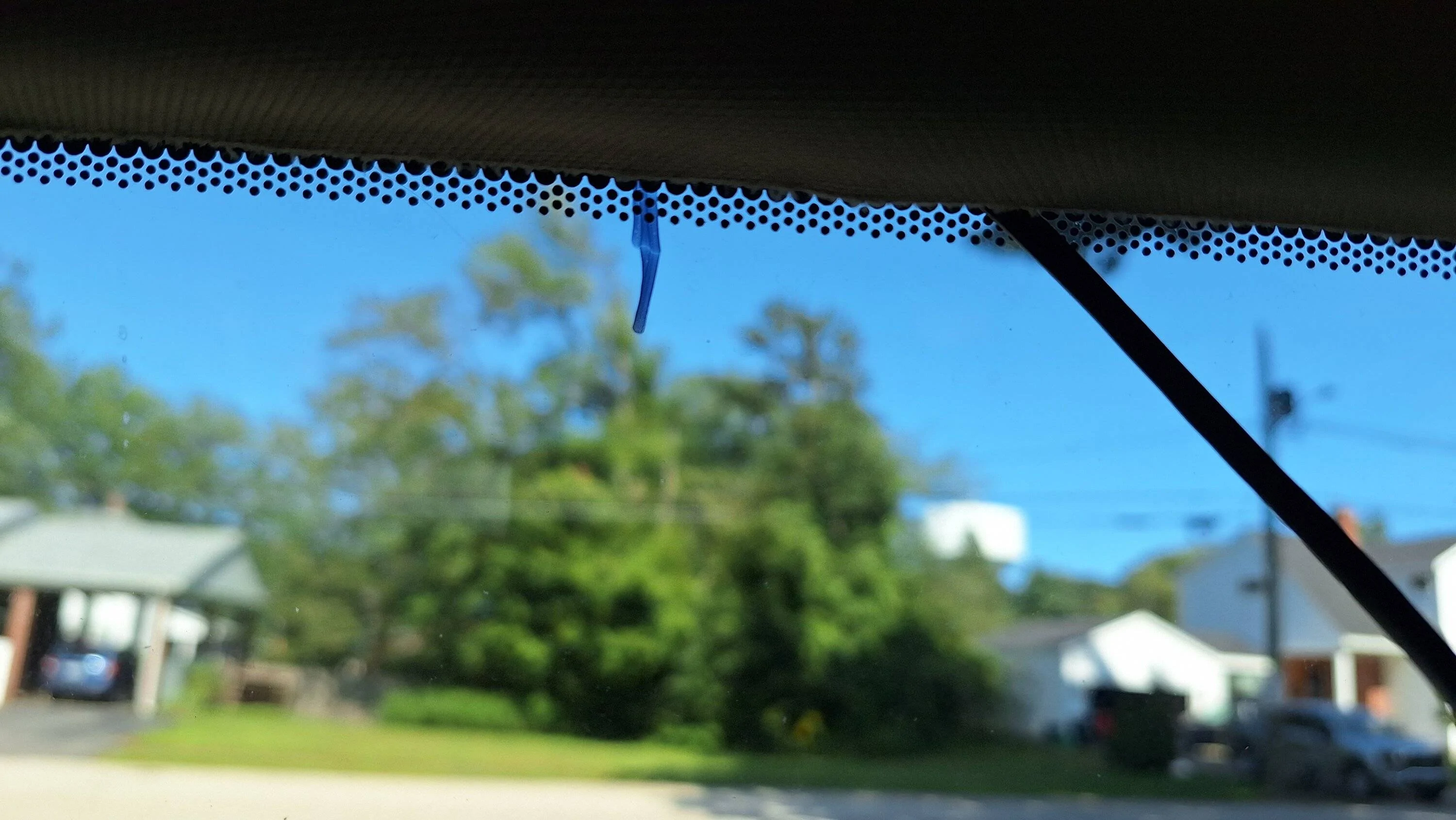 20230901_143233.jpg