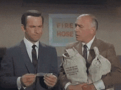 1693866387161.gif