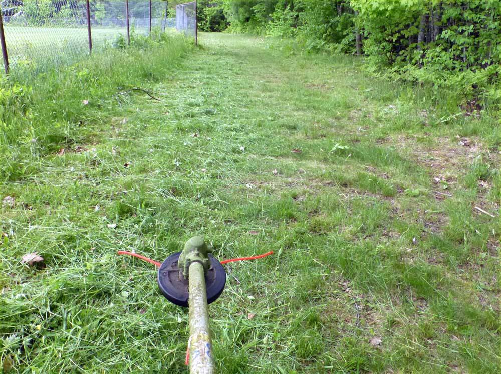 whacking231.jpg