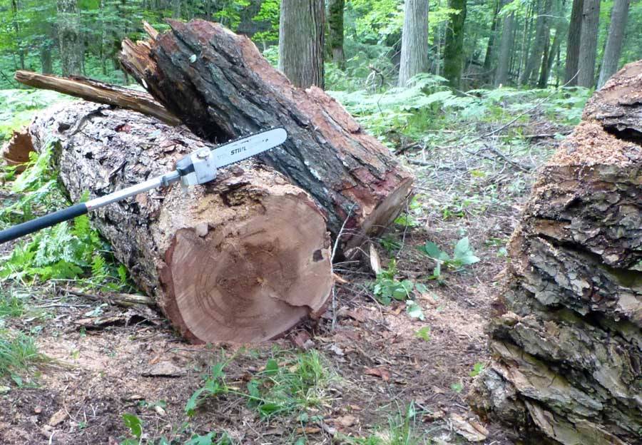 polesaw854.jpg