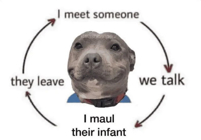 Pitbull.png
