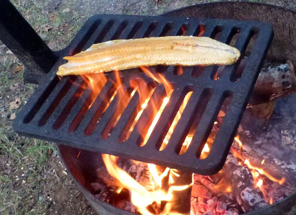 campfish0269.jpg
