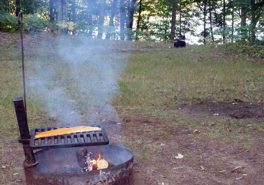 campfishdolly60266.jpg