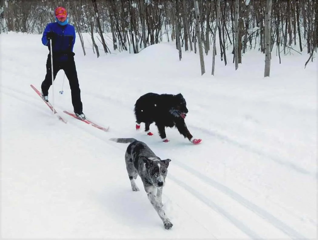 dogs river trail sandy Cropped.webp