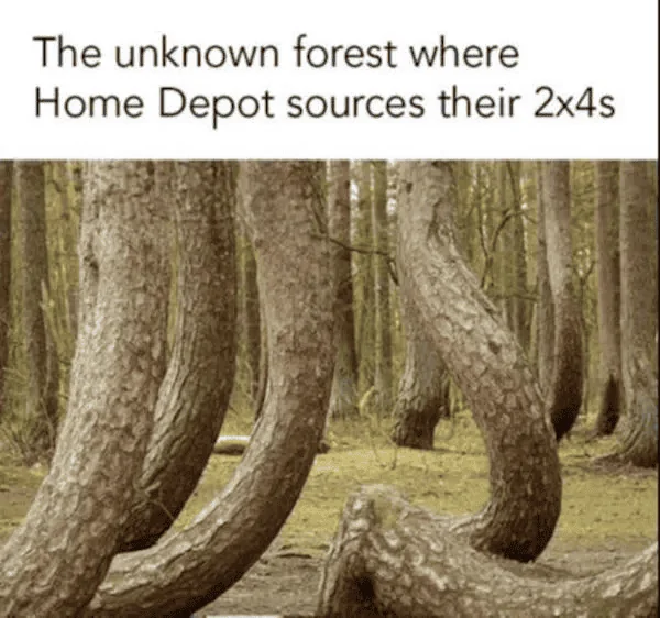 1694461939461.png
