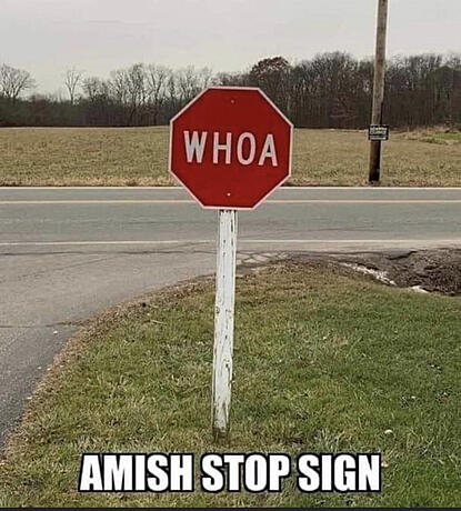 7.jpeg