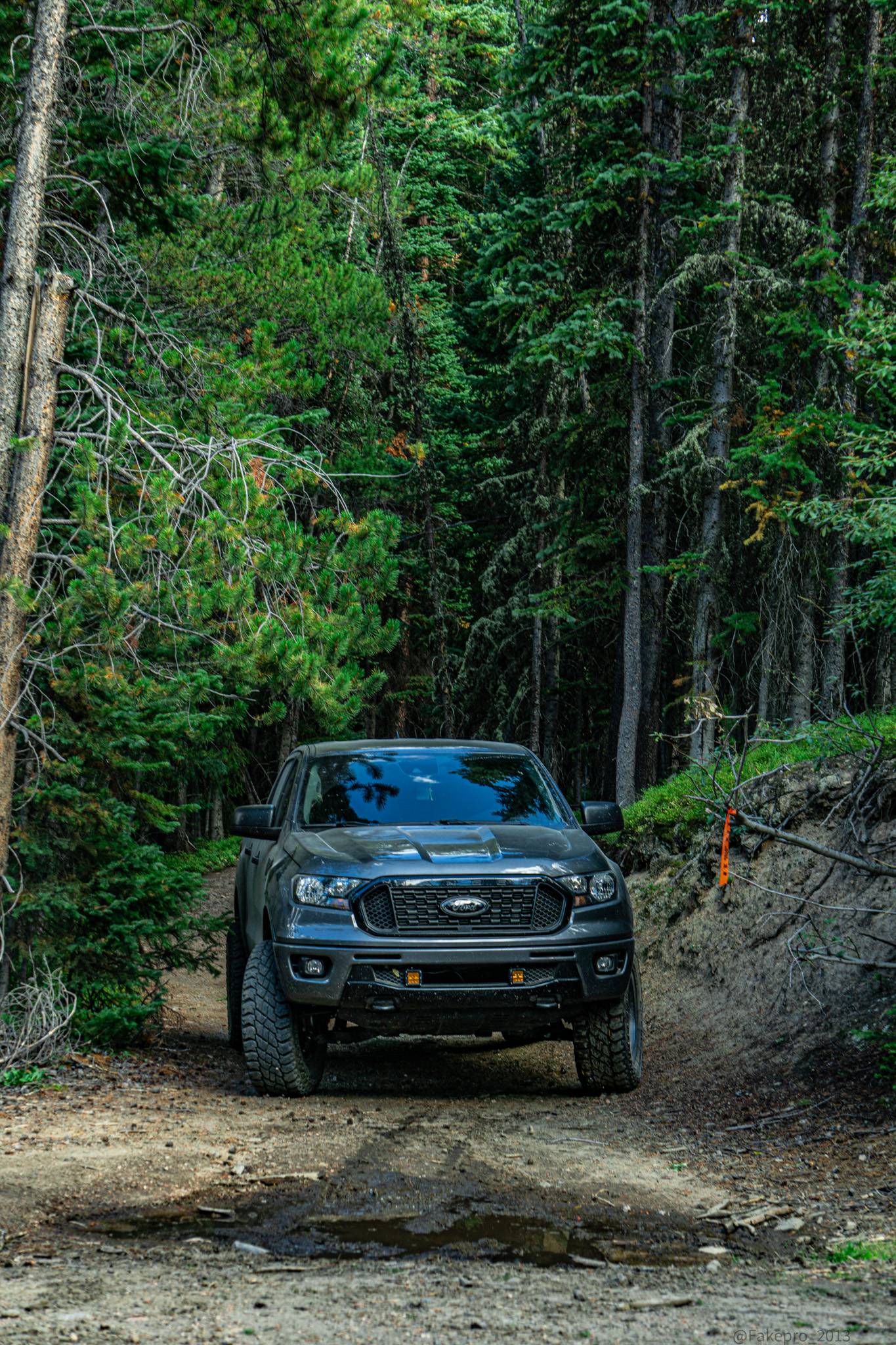 DSC08578.jpg