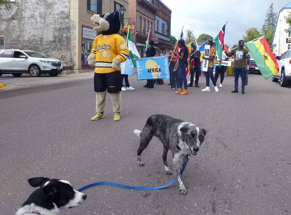 dogsparade0352.jpg
