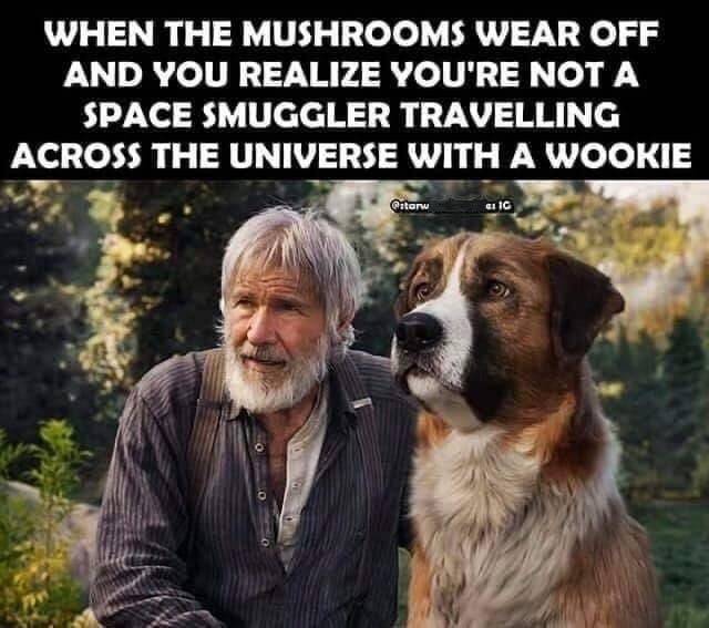 Wookie.jpg