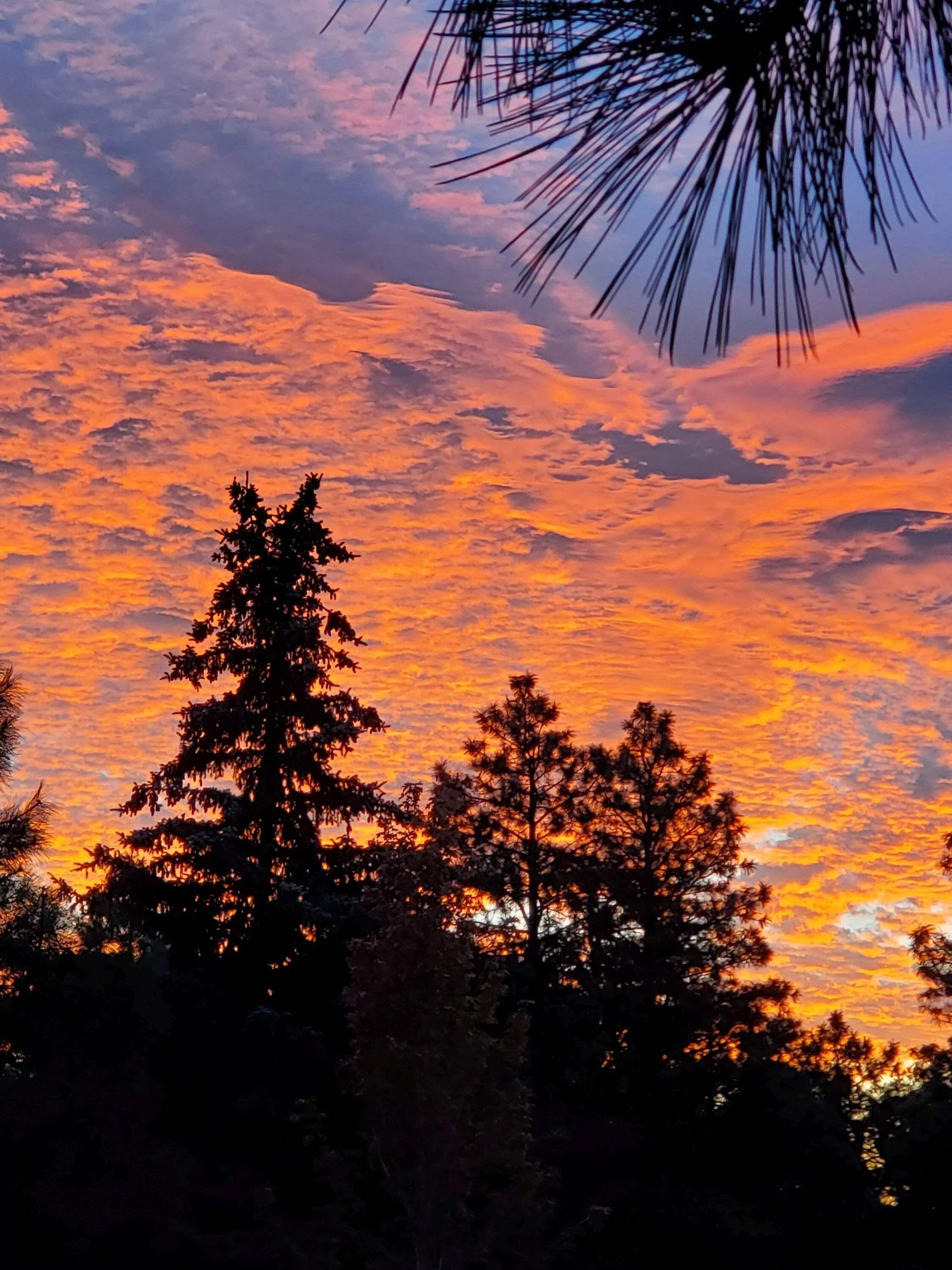 sunrise.webp