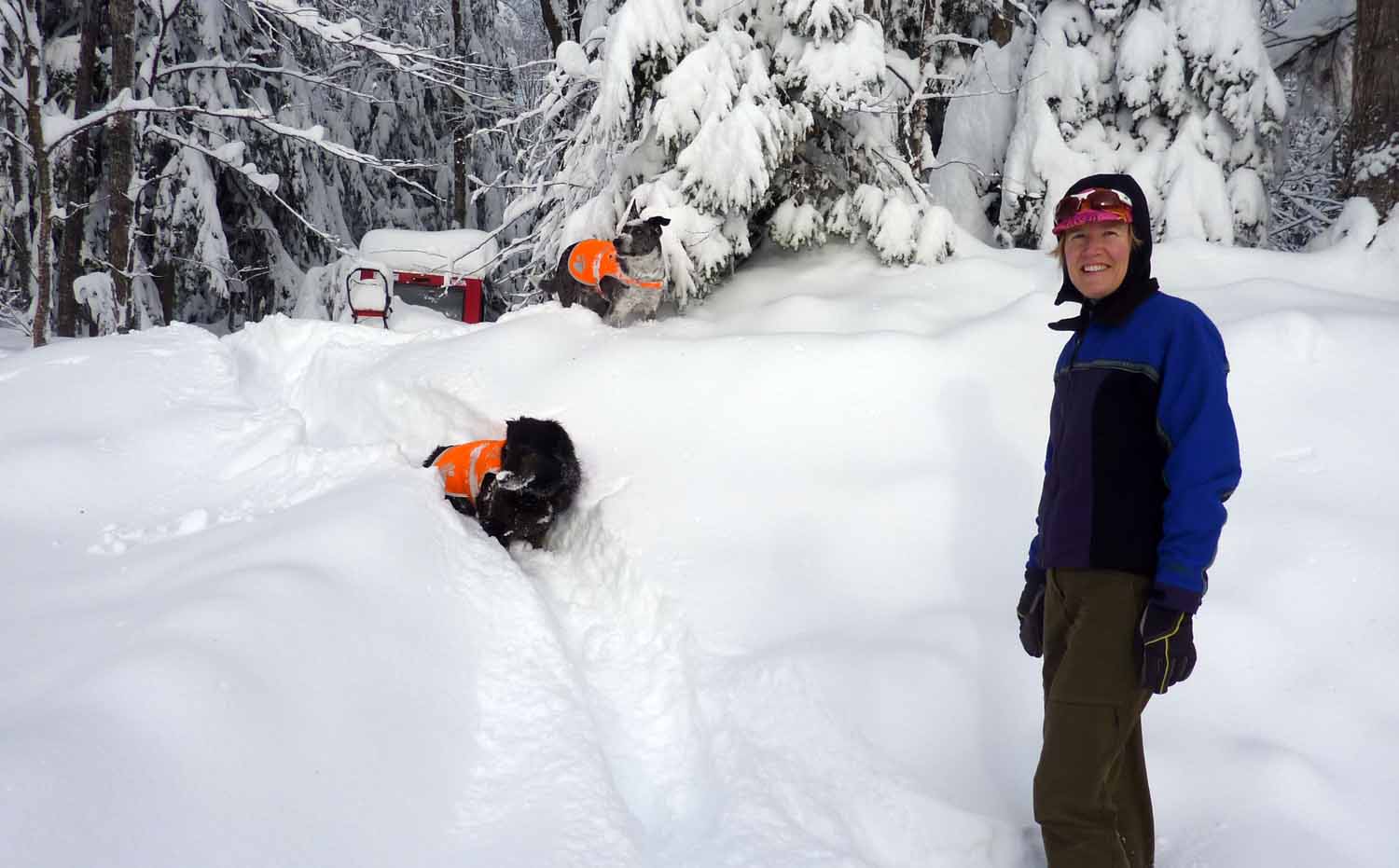 deepsnow0455.jpg