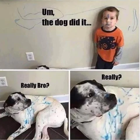 dogdidit.webp