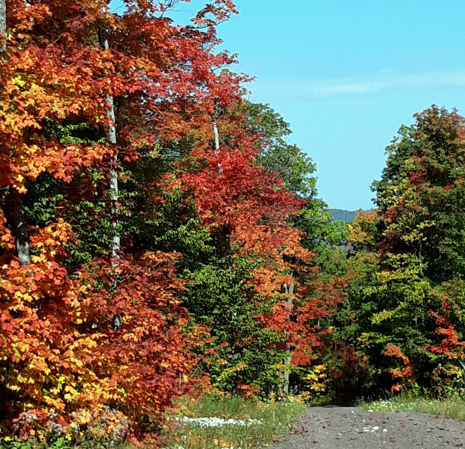 fallkewee06015908_n.jpg