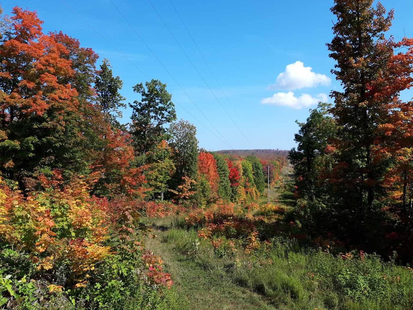 fallkewee3973953_n.jpg
