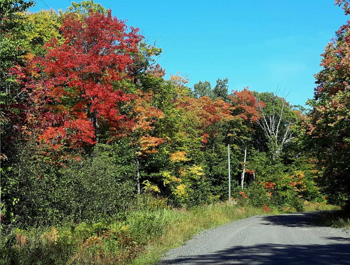 fallkewee2982139_n.jpg