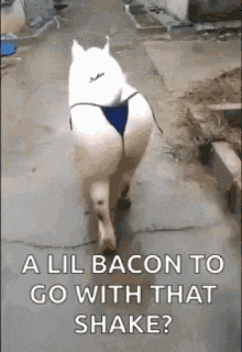 1695556737059.gif