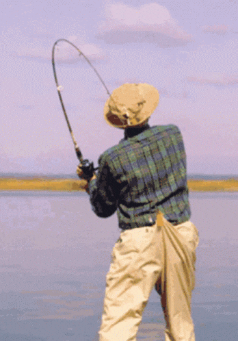 1695558035229.gif