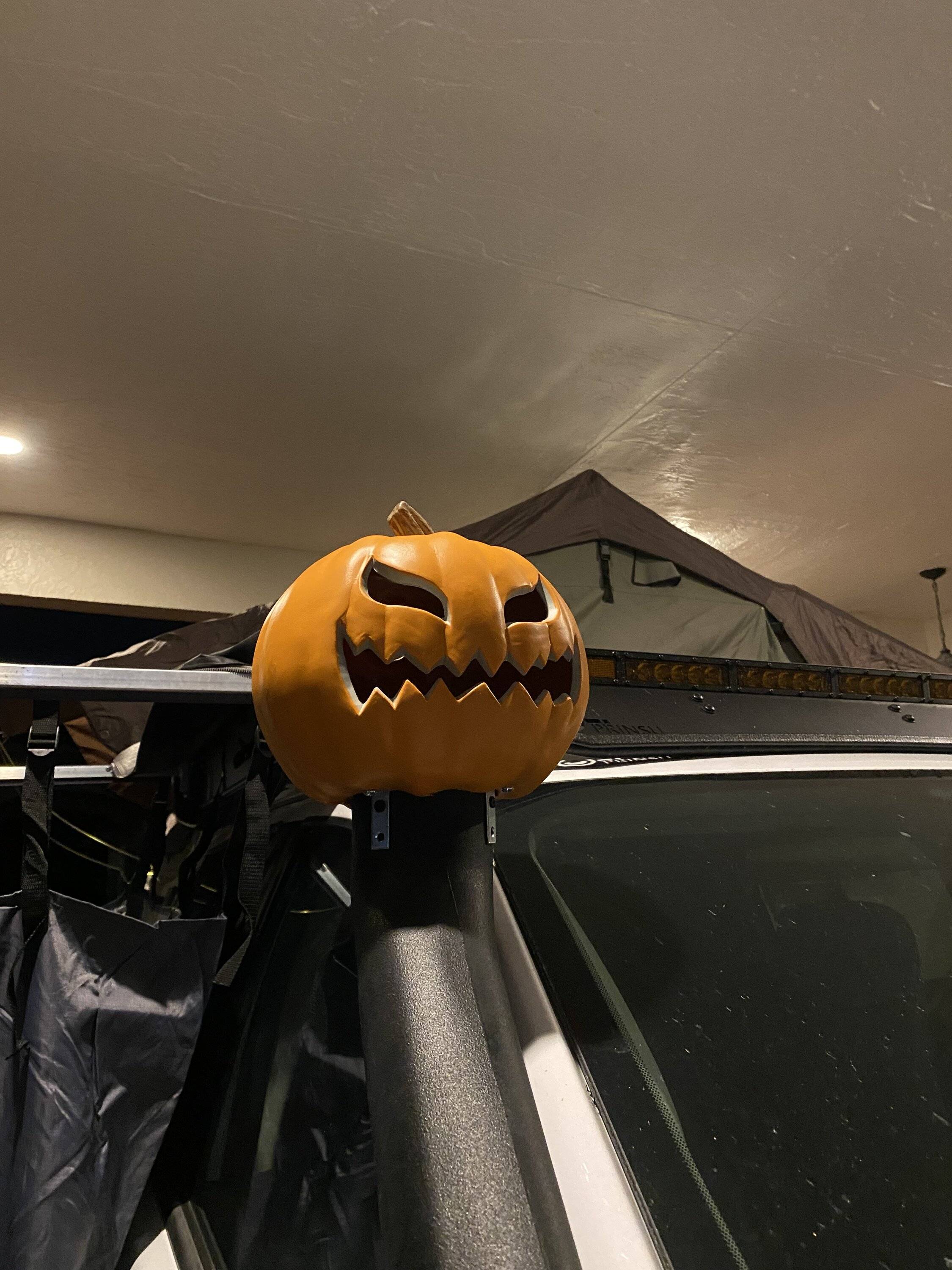 IMG_4633.jpeg