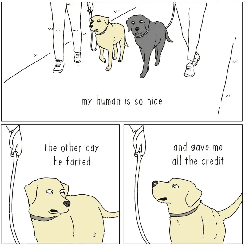 Nice Human.webp
