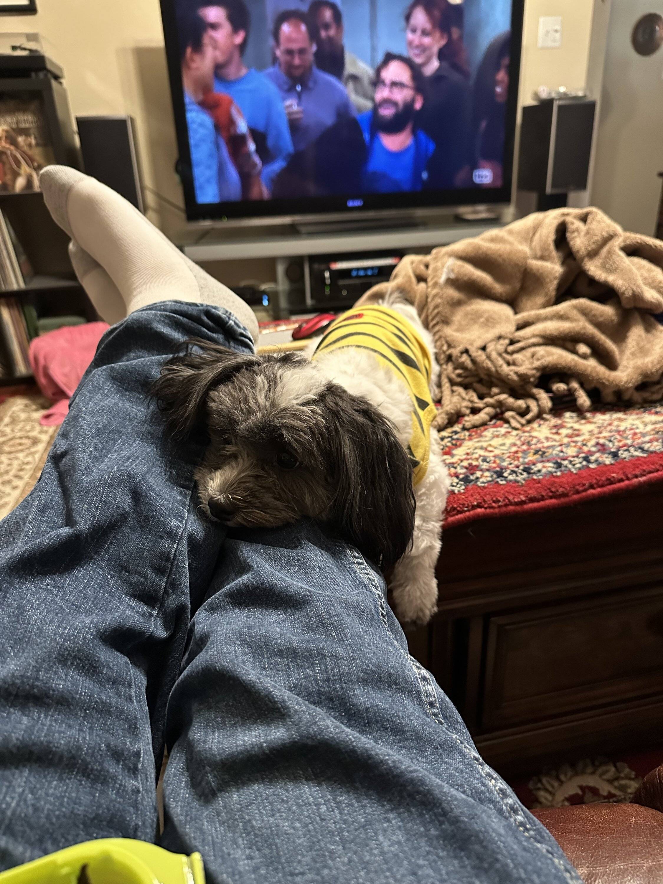 IMG_0444.jpeg