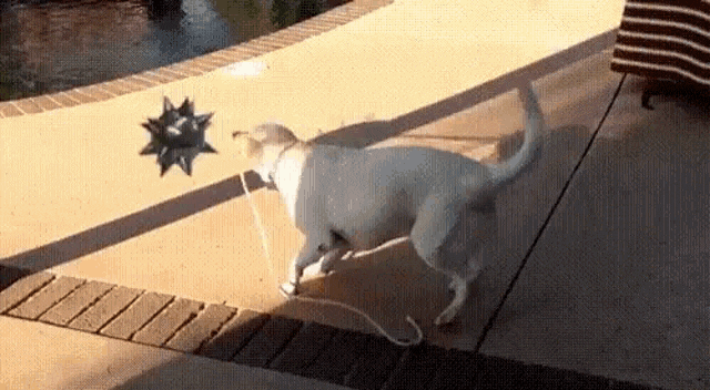 pmG8aVC.gif