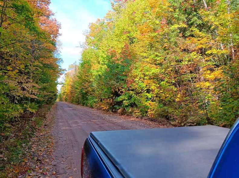 rangerfallcolor5621.jpg