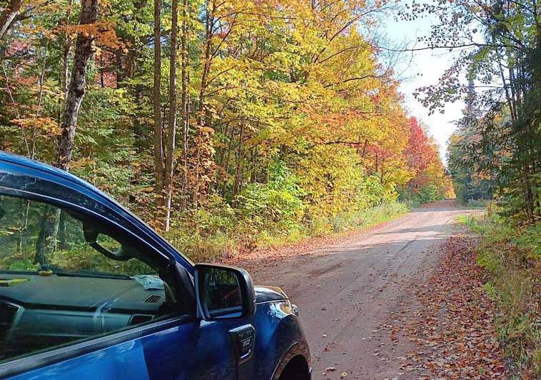 rangerrfallcolor704.jpg