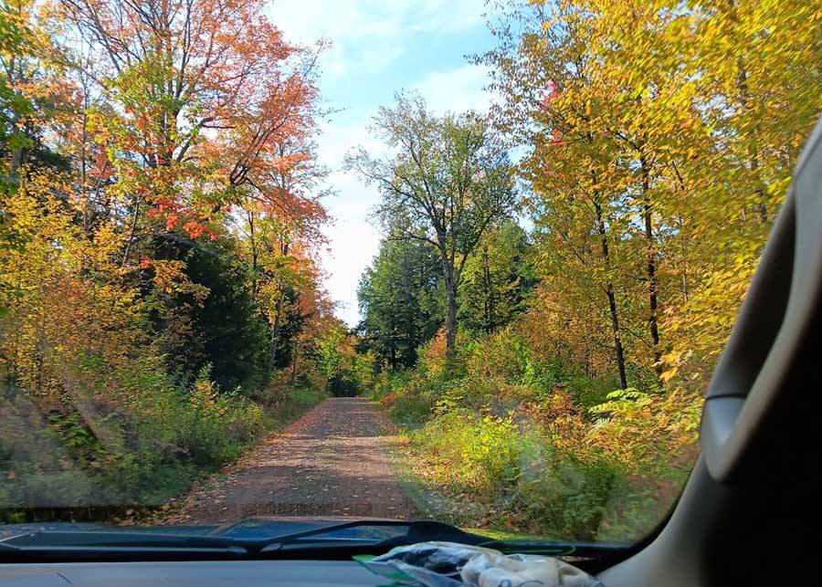 fallcolors858.jpg