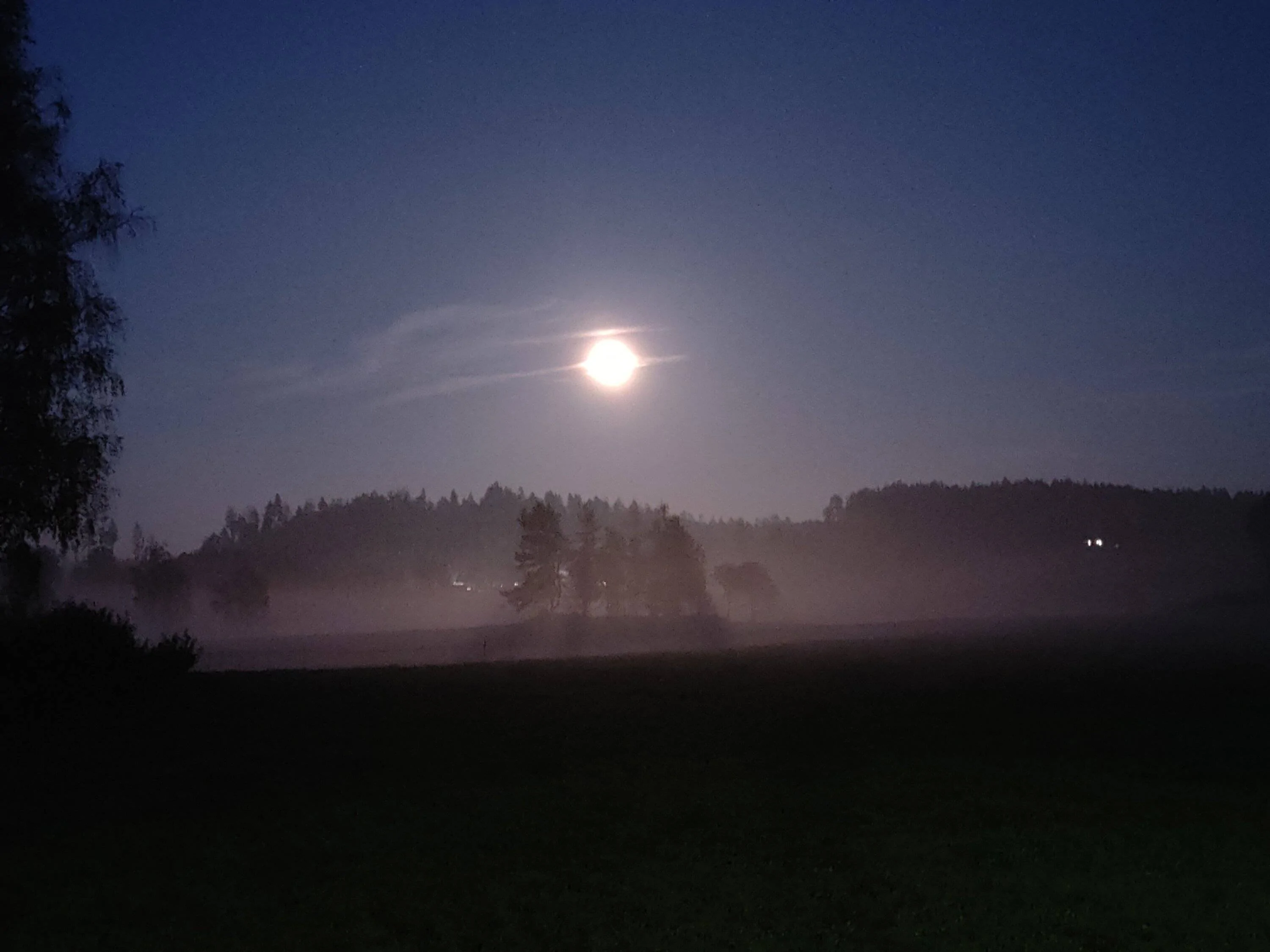 IMG20230928201623.jpg