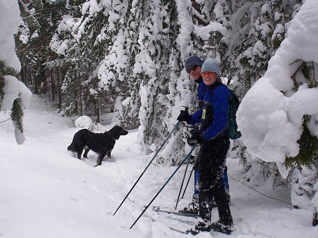 Arly, Sandy, Gromit BC copper harbor.jpg
