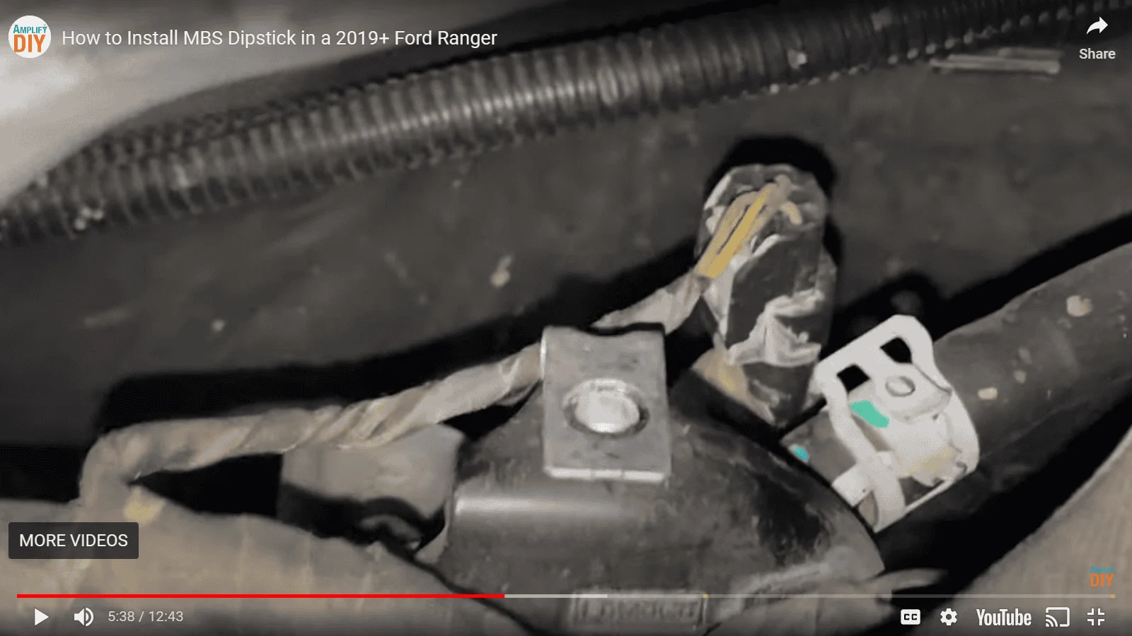 Harness Video Snap.png