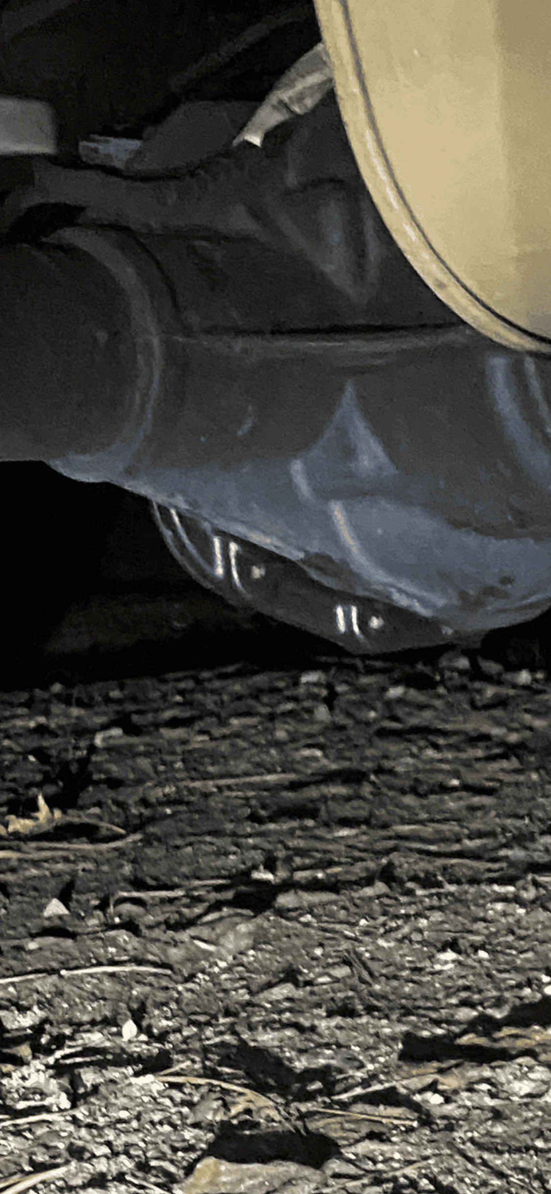 IMG_5404.png