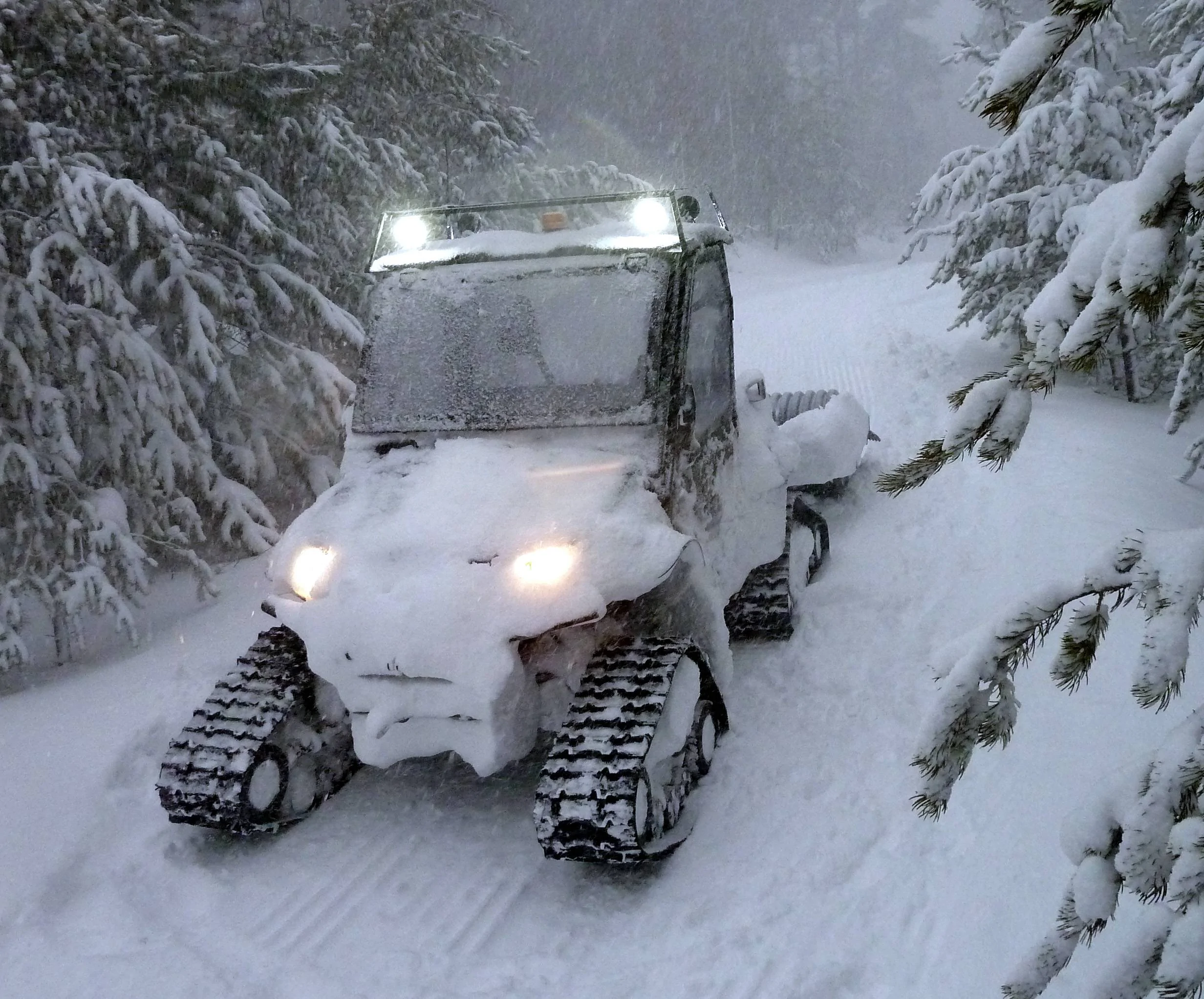 Rhino CR in heavey snow.webp