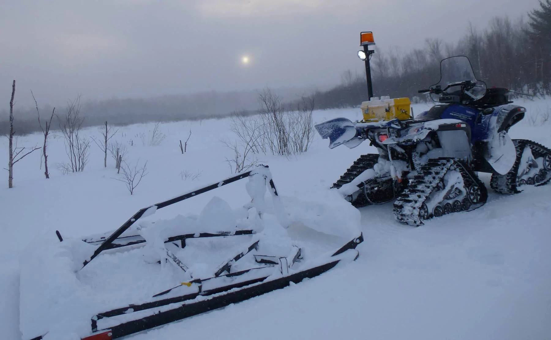 Griz drags CR.webp