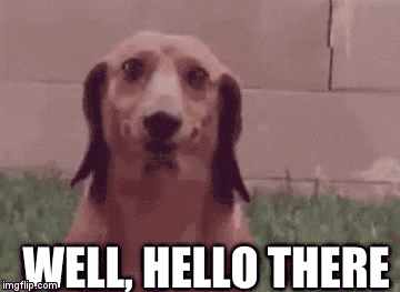 3qhv9x.gif
