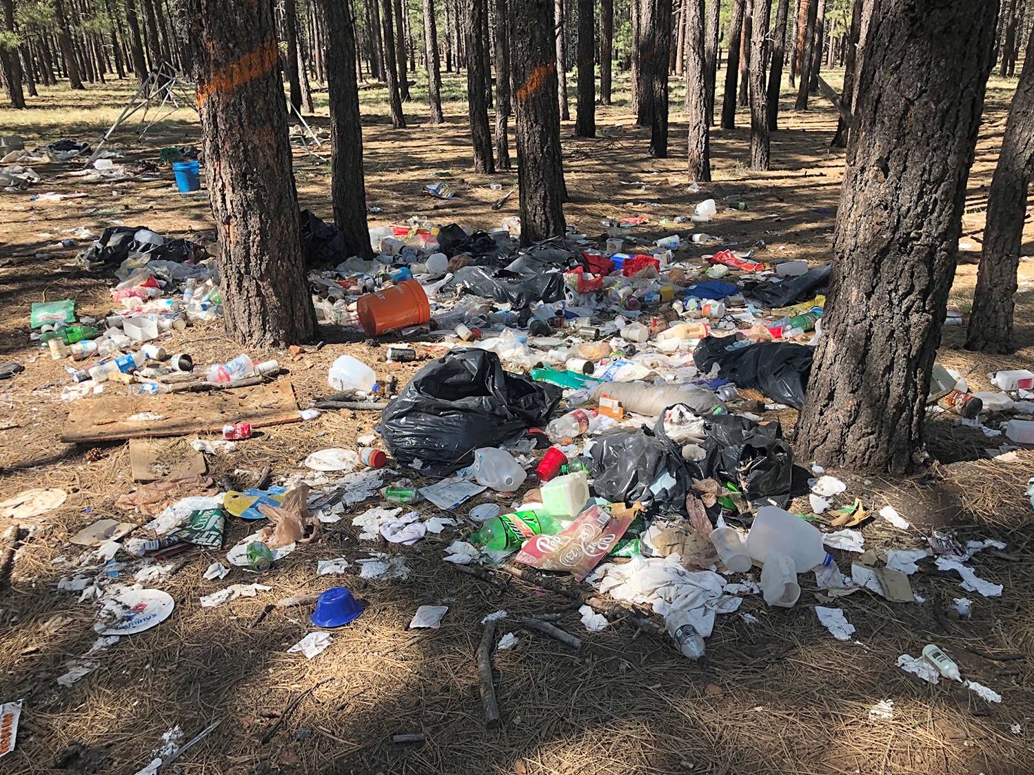 national-forest-campsite-trash-20200609.jpg