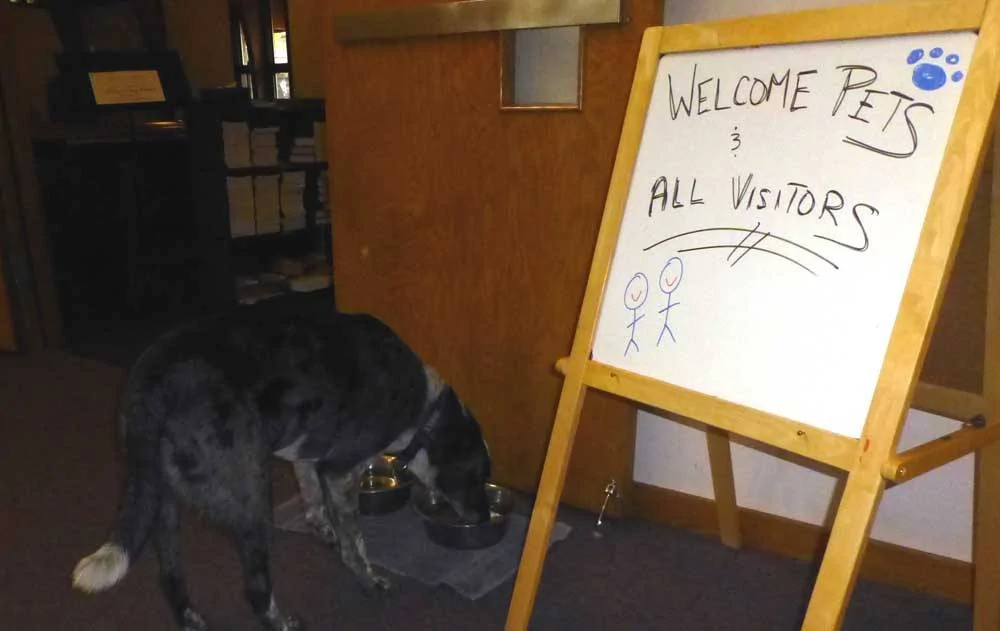 dogsgs0538.webp