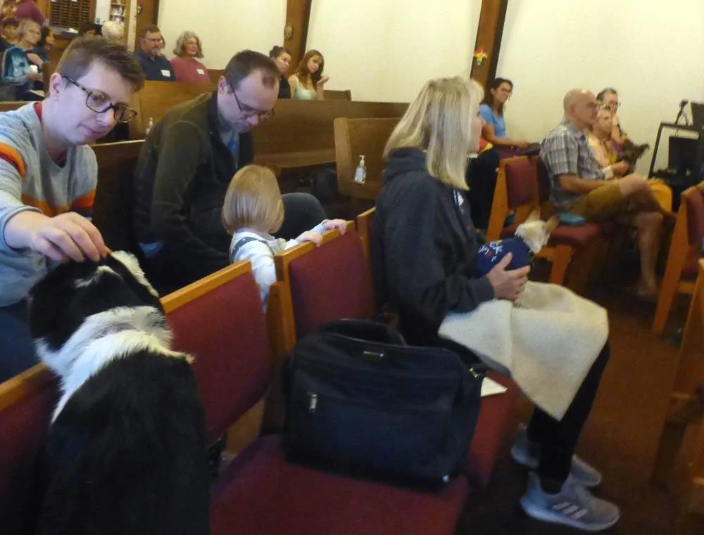 dogatgs468.webp