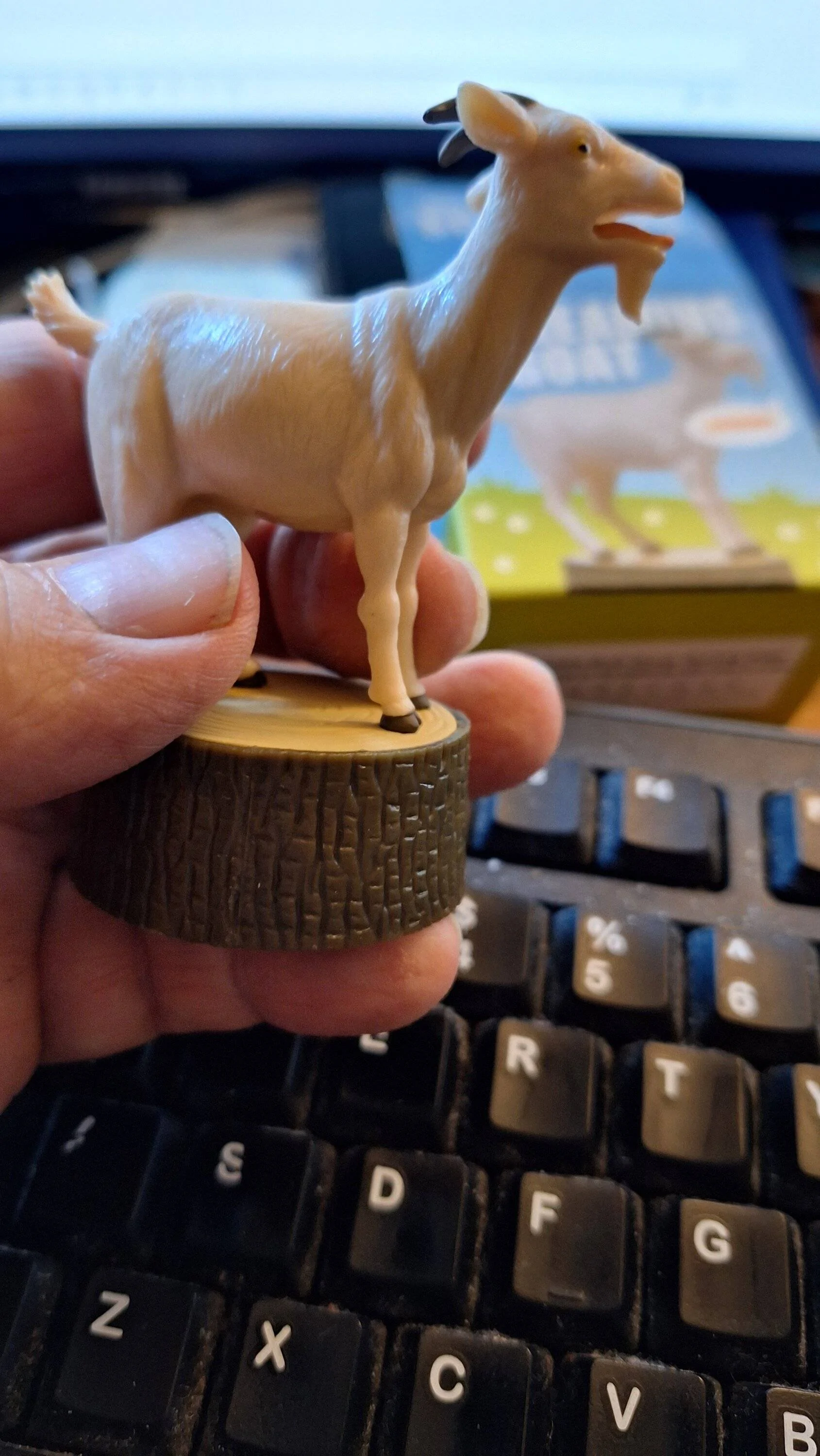 20231002_164039.jpg