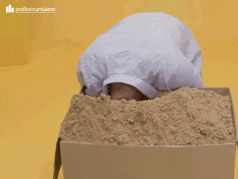 giphy (1).gif