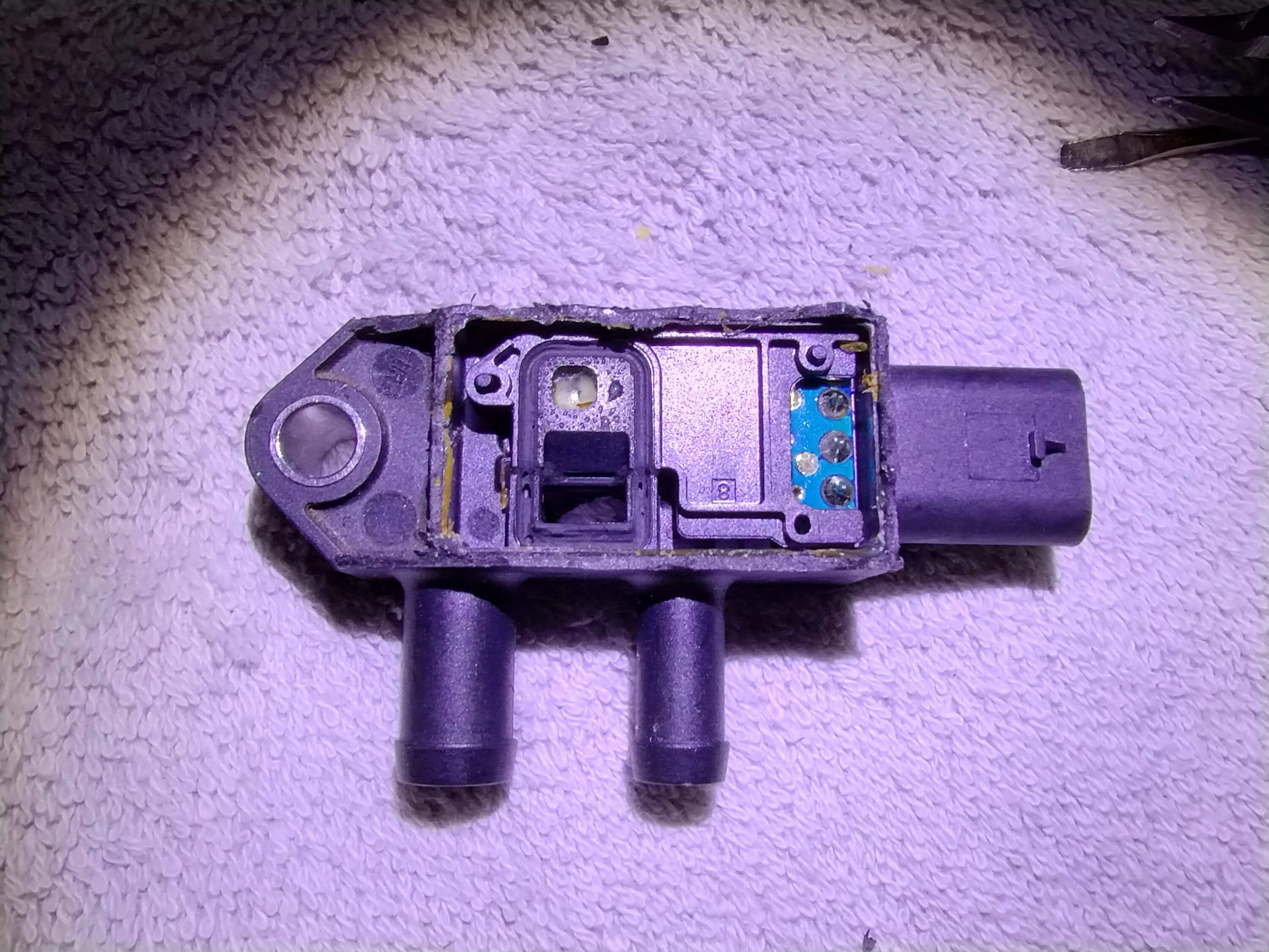 IMG_20231009_011401744_HDR.webp