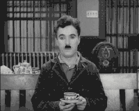 IMG_3113.gif