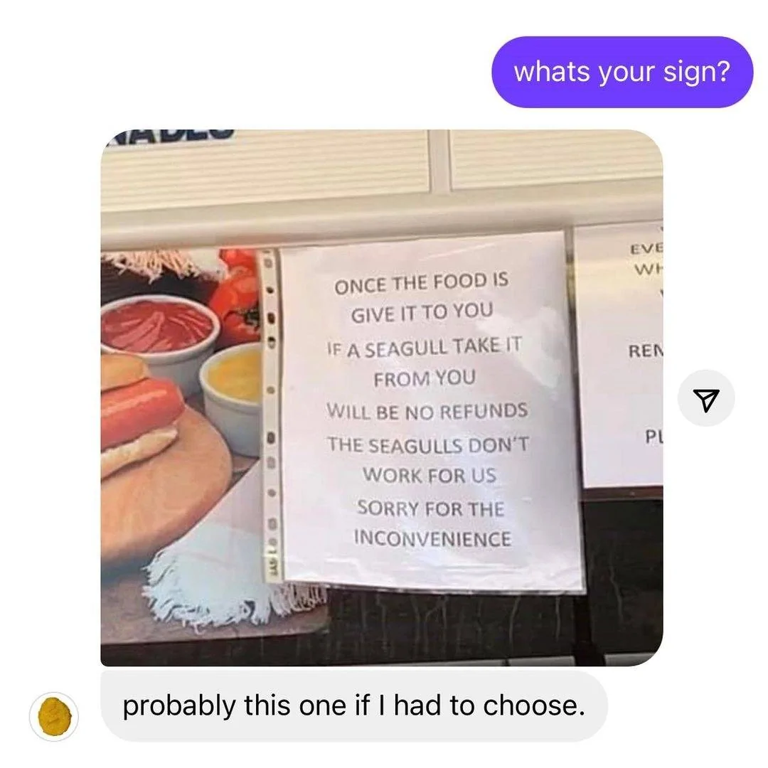 Seagulls.jpg