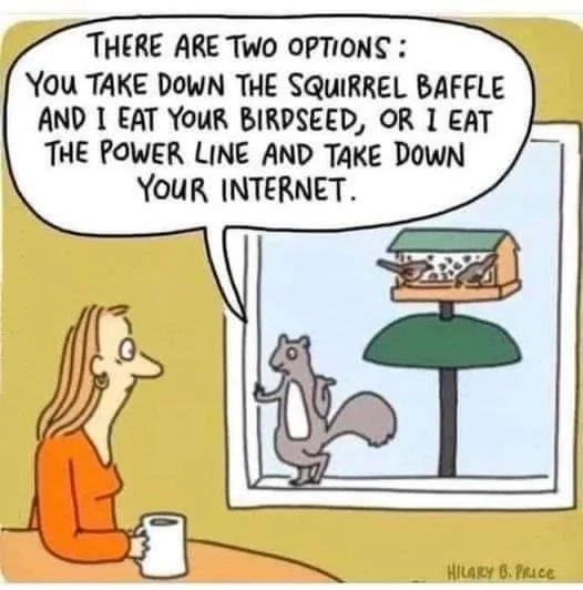 Squirrell.webp