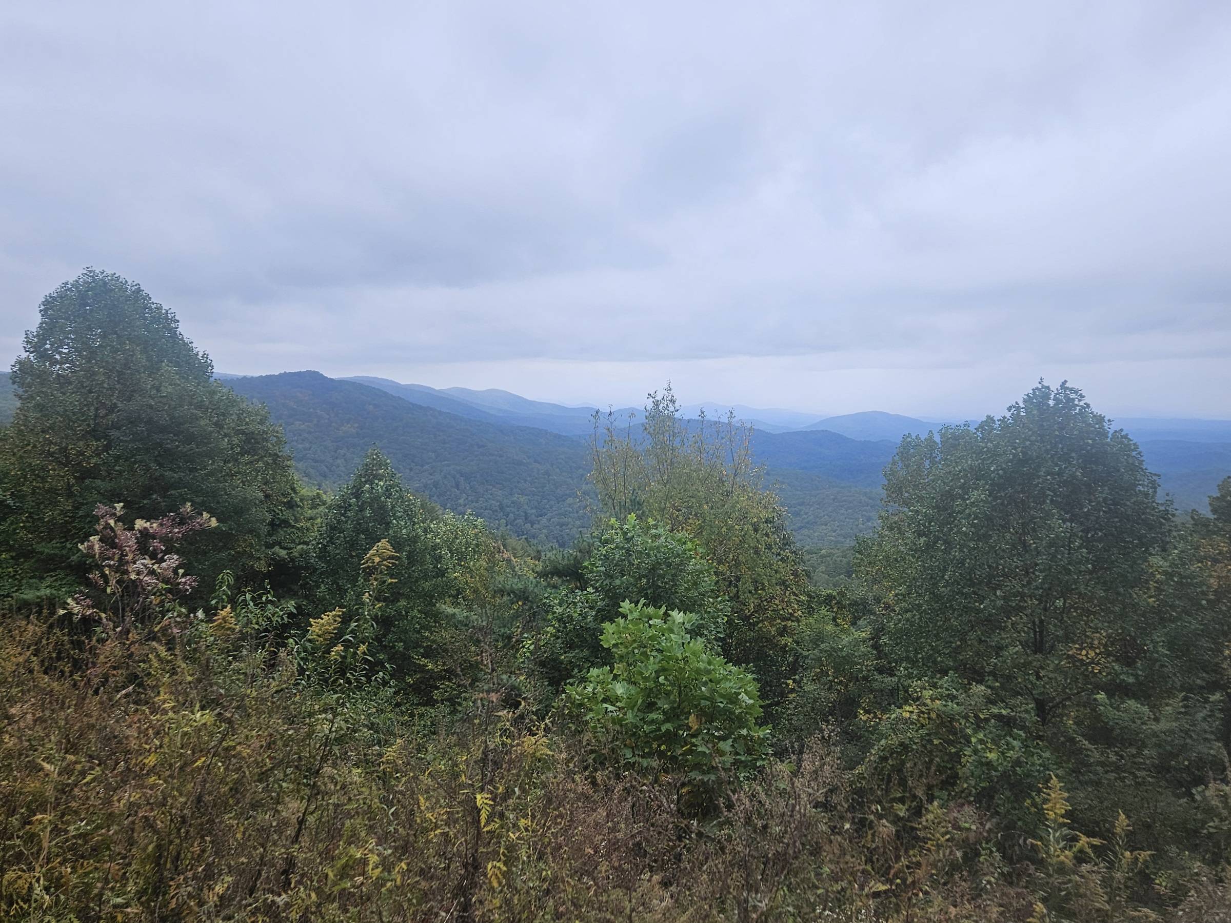 20231013_145937.jpg