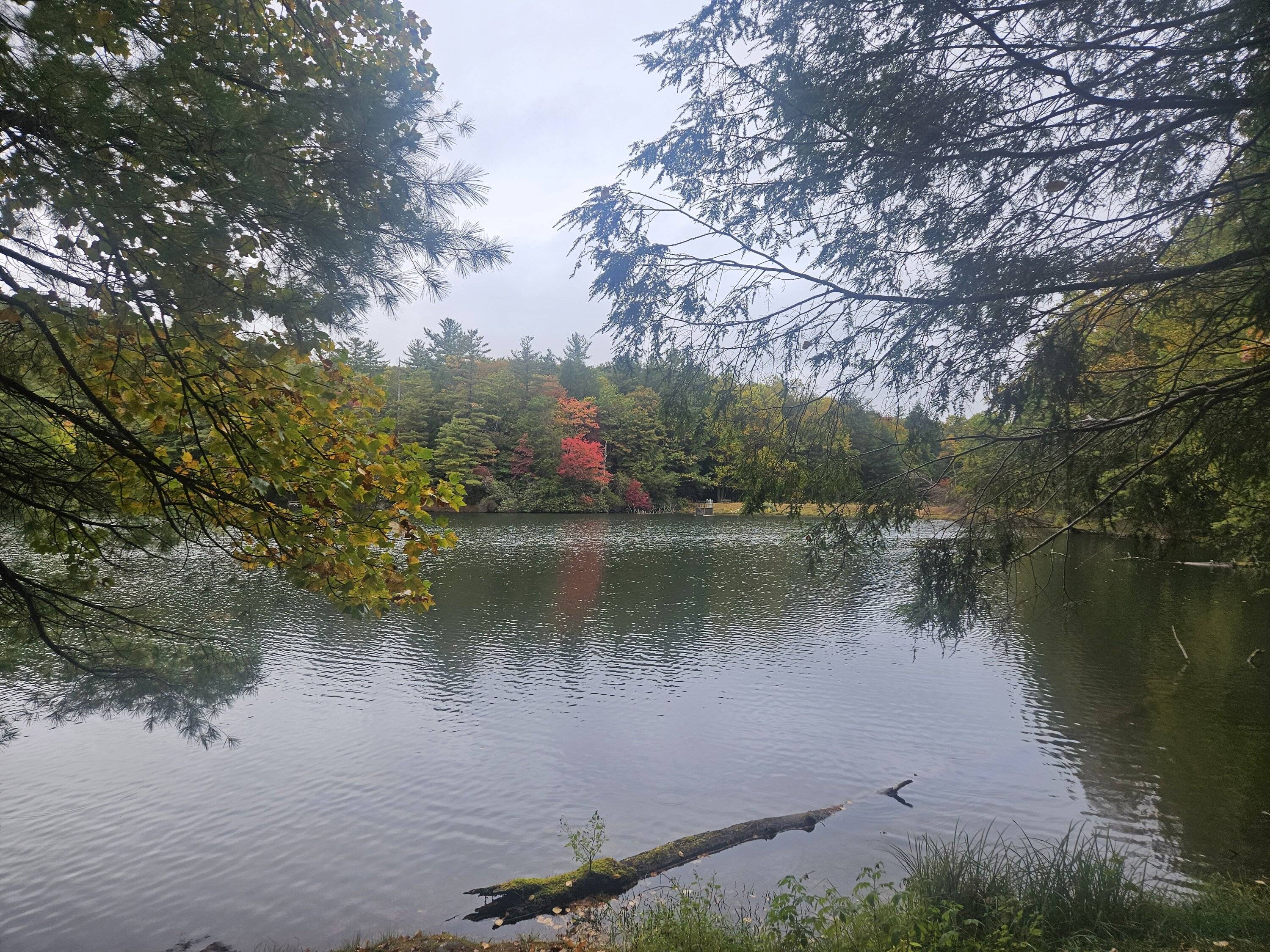 20231013_170321.jpg