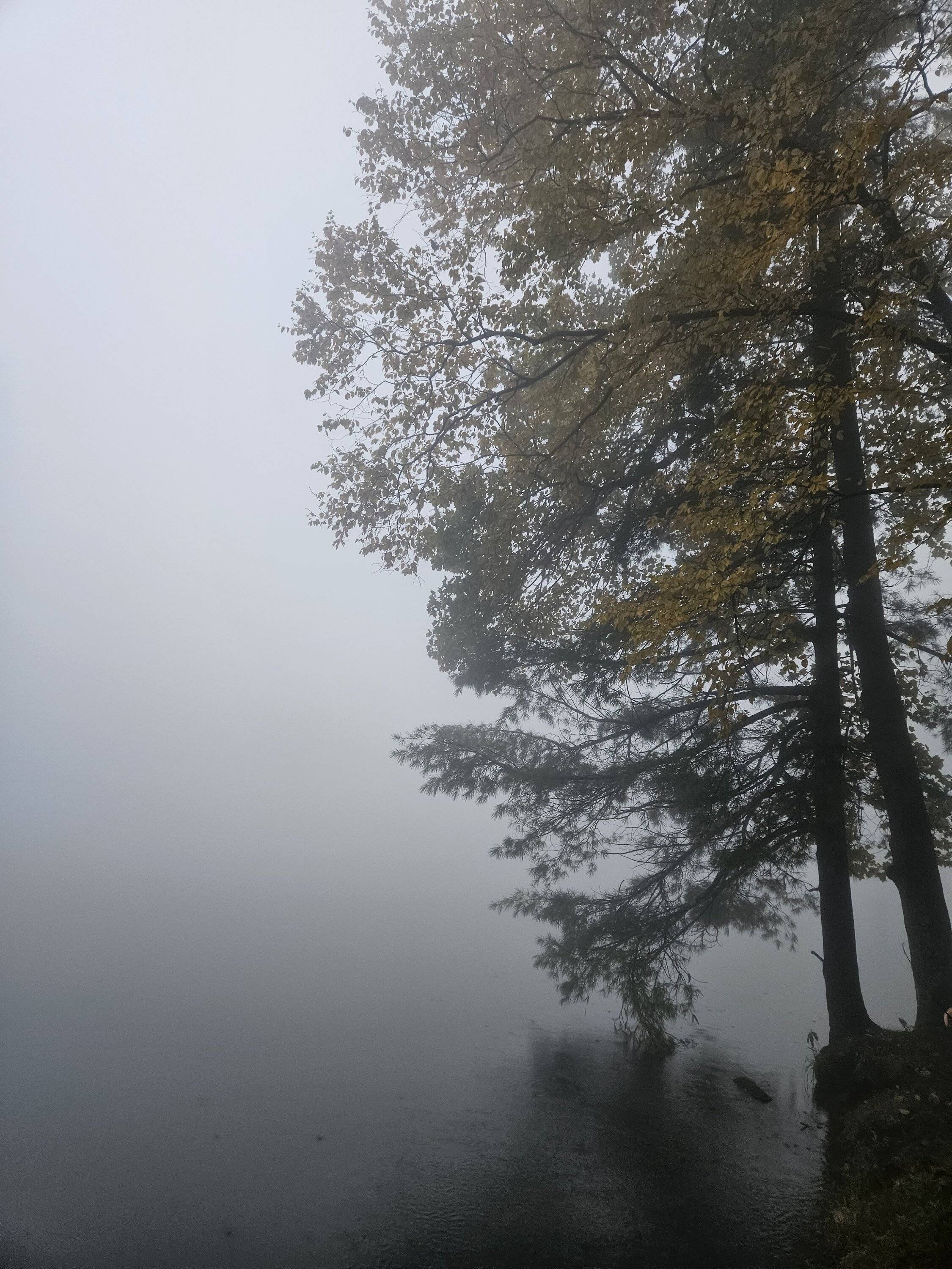20231014_080610.jpg