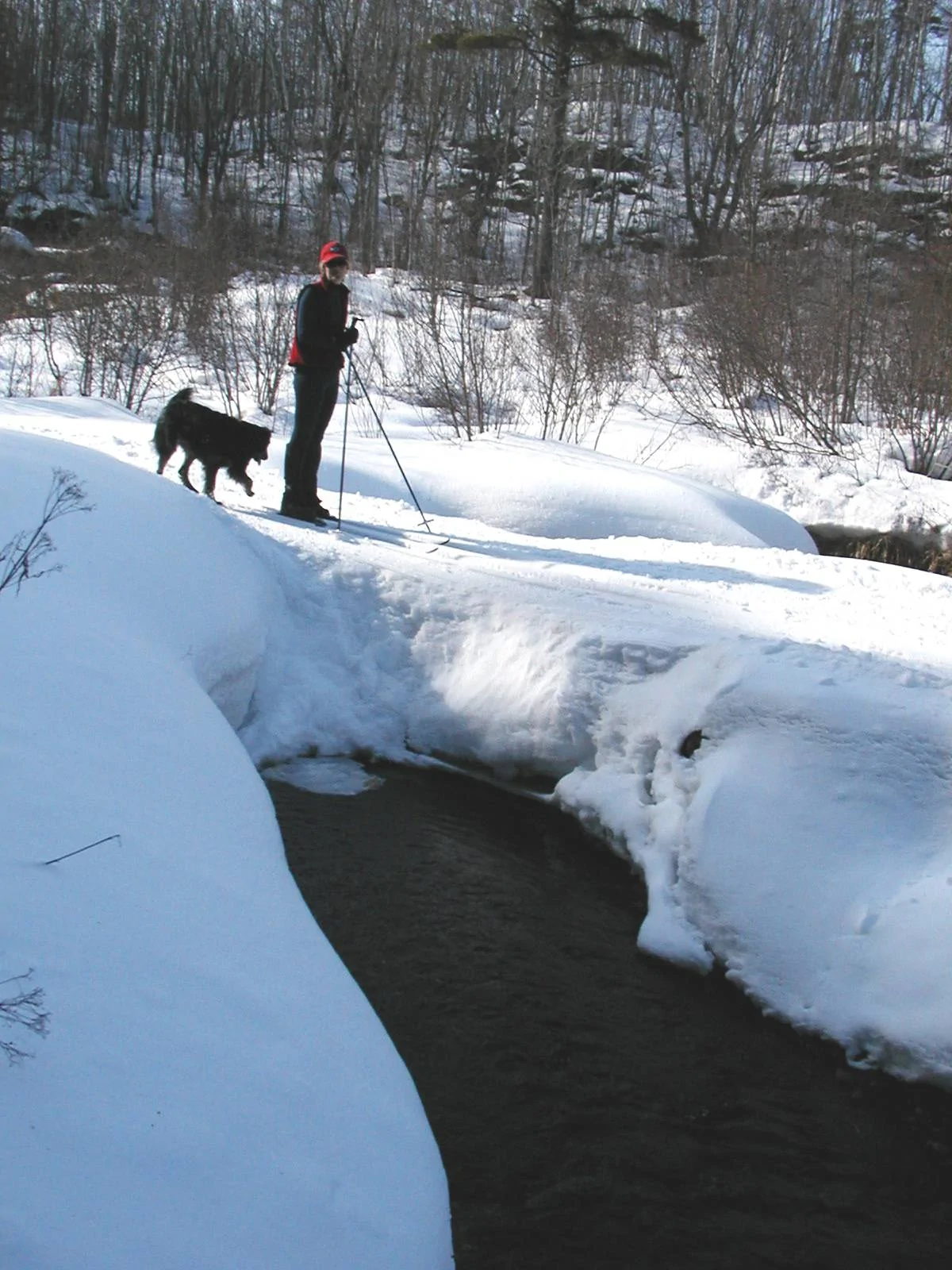 River trail spring 08.I.webp