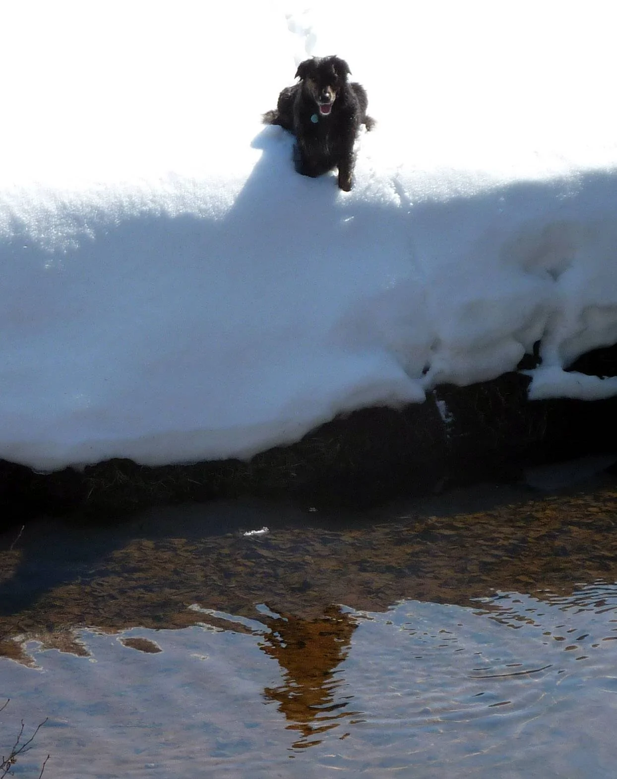 Black river edge.II.webp